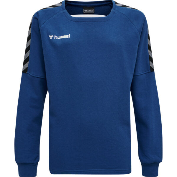 hmlAUTHENTIC KIDS TRAINING SWEAT