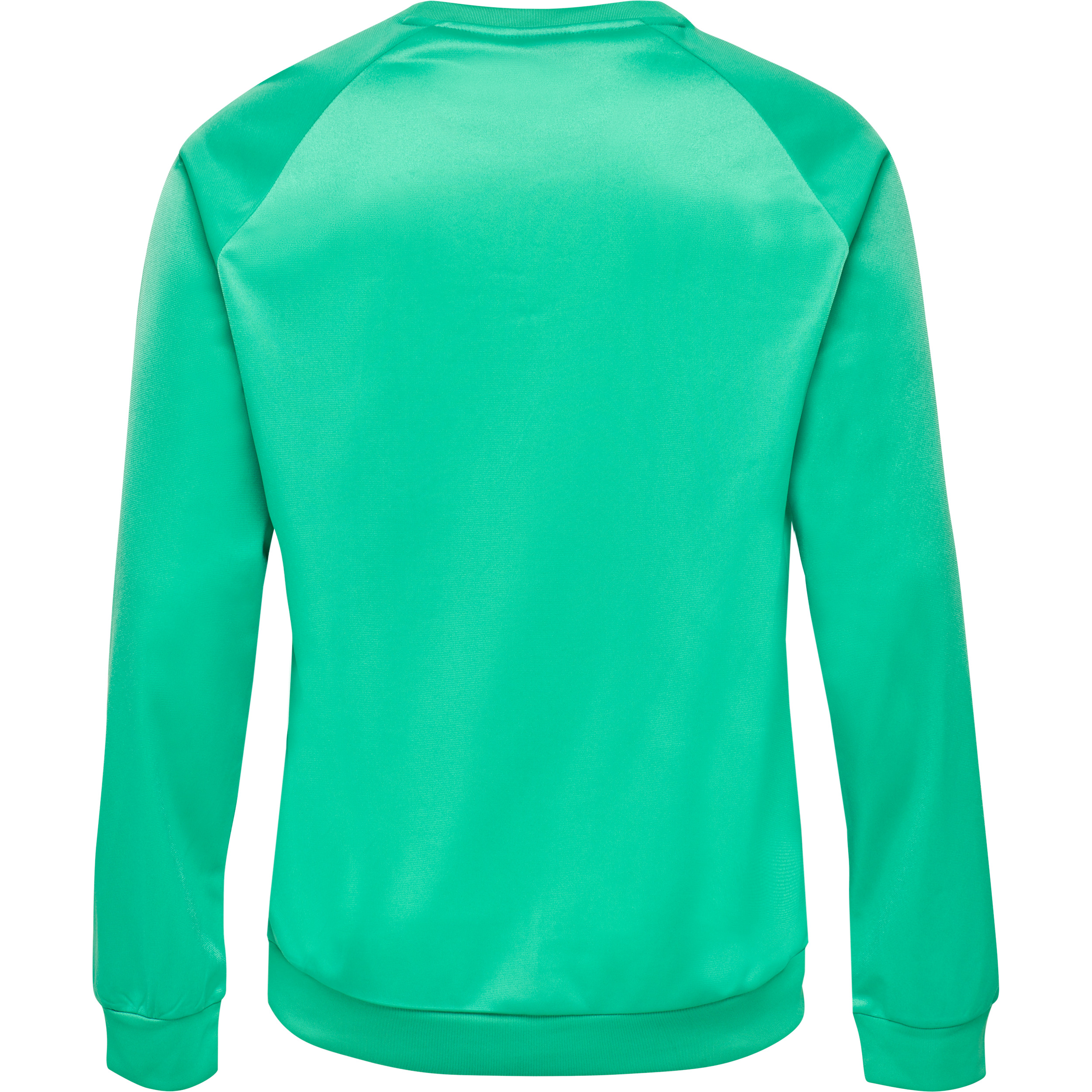 hmlPROMO POLY SWEATSHIRT – Bild 24
