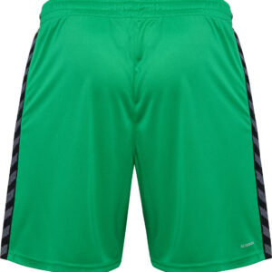 hmlAUTHENTIC PL SHORTS – Bild 18