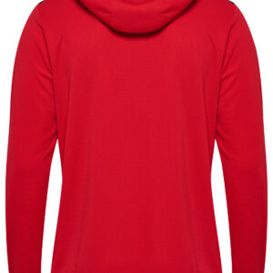 hmlAUTHENTIC PL HOODIE – Bild 15