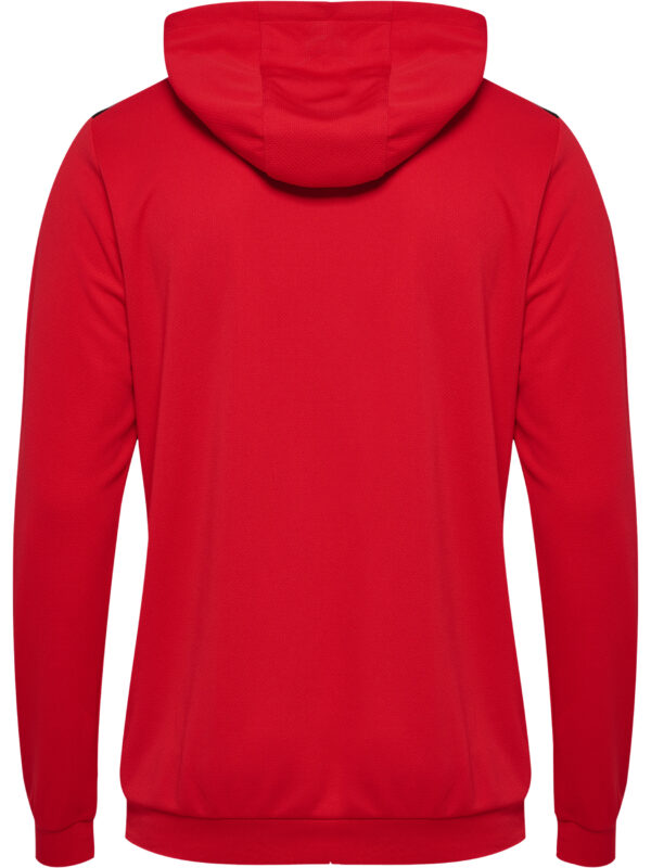 hmlAUTHENTIC PL HOODIE