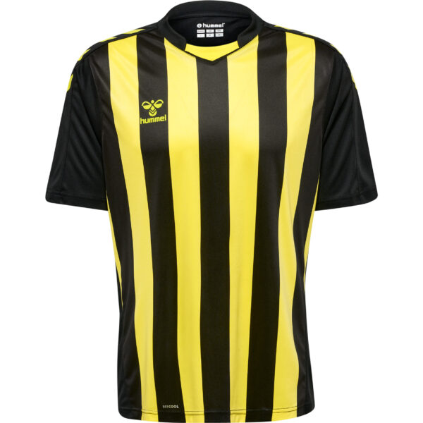 hmlCORE XK STRIPED JERSEY S/S