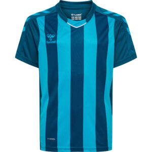 hmlCORE XK STRIPED JERSEY S/S KIDS – Bild 15