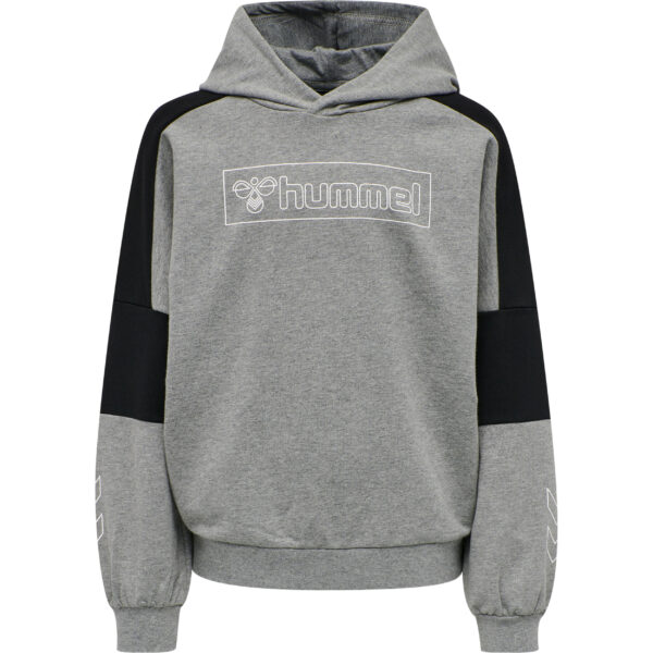 hmlBOXLINE HOODIE