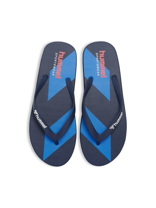 Chevron Flip Flop