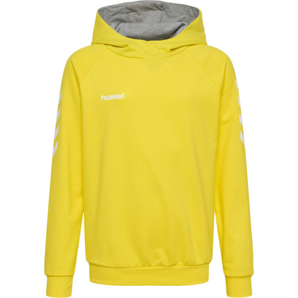 hmlGO KIDS COTTON HOODIE