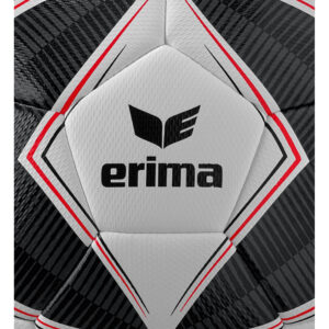 Senzor-Star Training – Bild 2