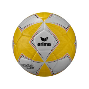 Senzor-Star Lite 290 – Bild 1