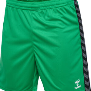 hmlAUTHENTIC PL SHORTS – Bild 3