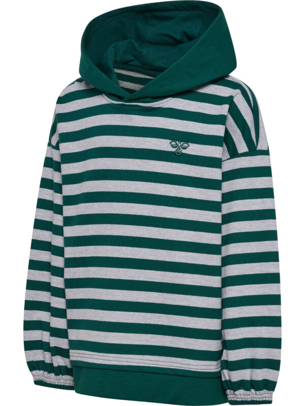 hmlJR CONELLY BOXY CONTRAST HOODIE