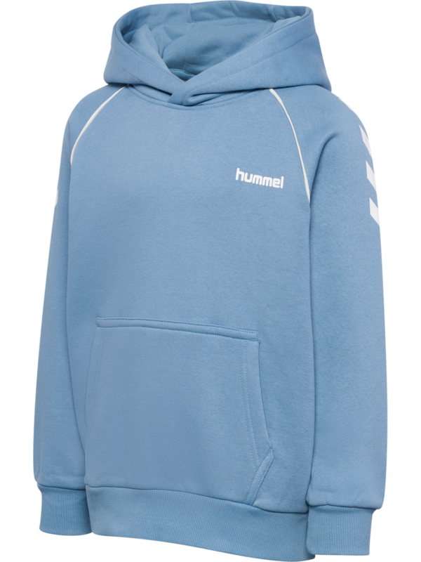 hmlJR LOOSE CHEVRON HOODIE