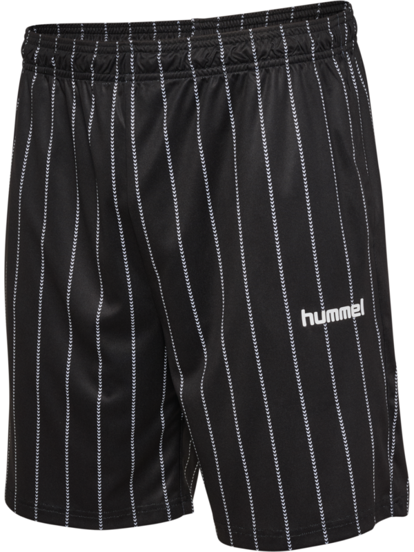 Chevron Pinstripe Shorts